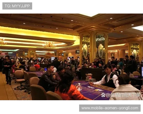 澳门十大赌场排名2024最新榜单，详细介绍每家赌场的特色与优势